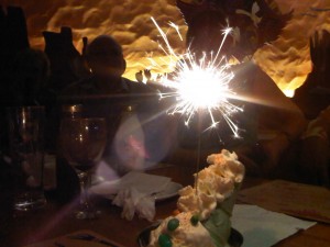 IMG00047-20110328-2048-300x225