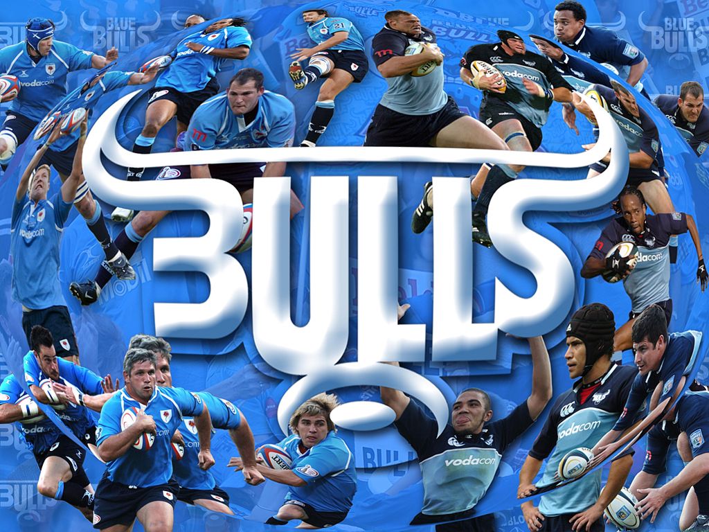 blue bulls pink jersey