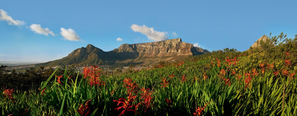 table-mountain_lo